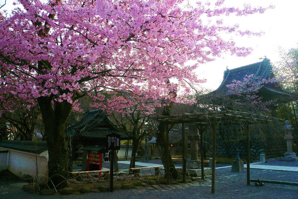 ホテル 宙　渡月荘金龍 静岡市 エクステリア 写真
